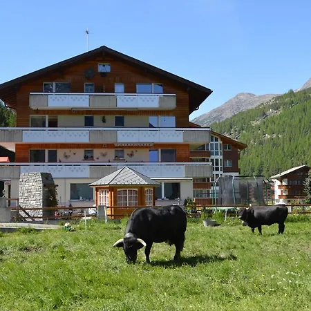 Apartment Haus Amethyst Saas-Grund